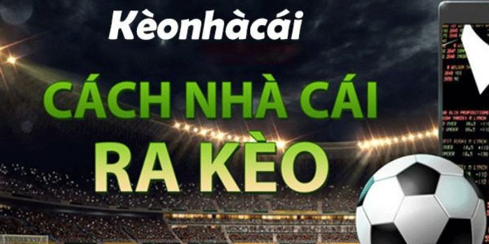 Một số lưu ý khi tham gia